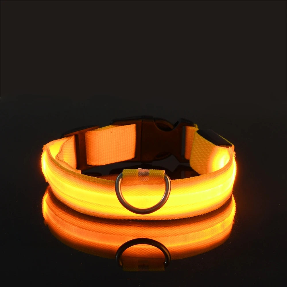 Accesorios LED para perros de la marca Happy Pets LS, con luces brillantes y ajustables para seguridad y diversión.