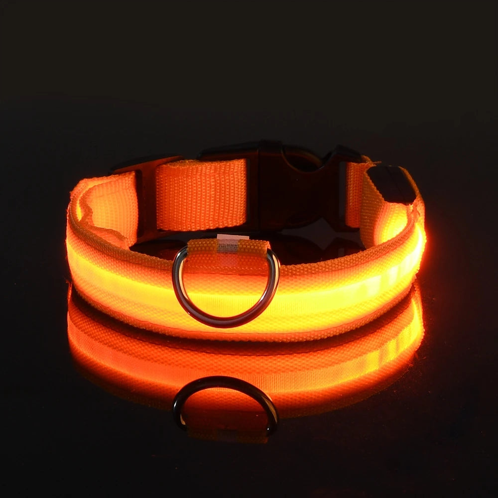 Accesorios LED para perros de la marca Happy Pets LS, luces de colores brillantes para mascotas en paseos nocturnos.
