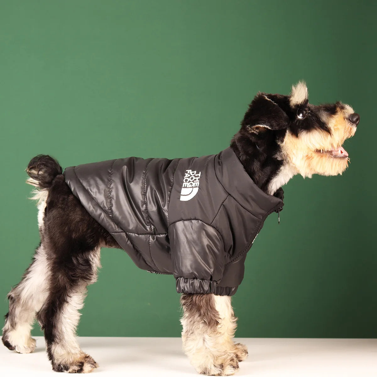 Chaqueta de invierno para perros Happy Pets LS, abrigo acolchado en color azul con capucha y cierre de botones.